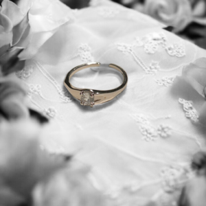 Ring3